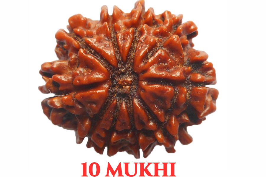 Cat’s Eye (Lehsunia)