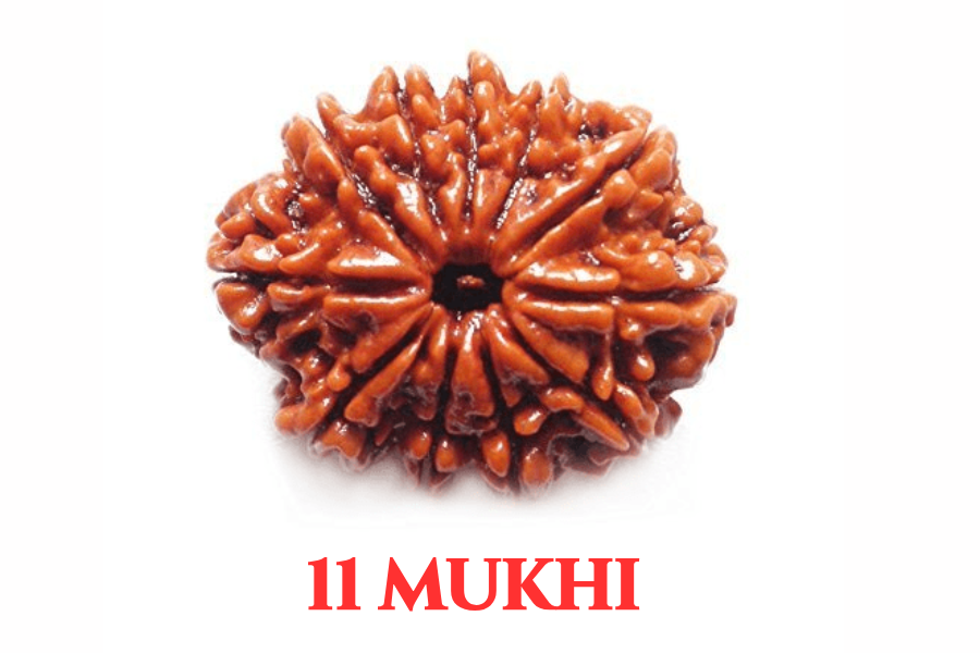 Cat’s Eye (Lehsunia)